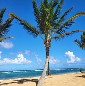 Meet your Posher, Lise